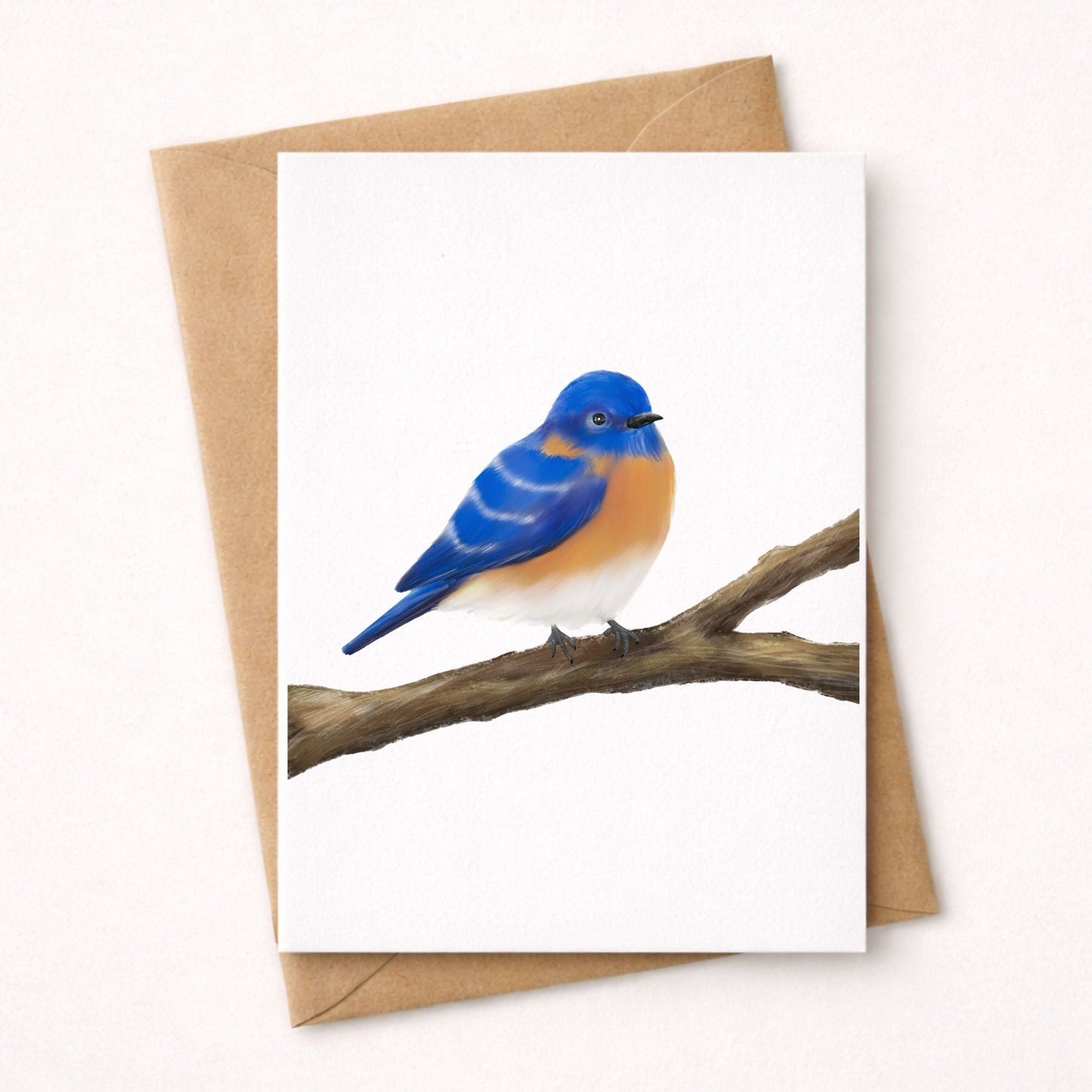 Eastern Bluebird Postcard - MerikaArt