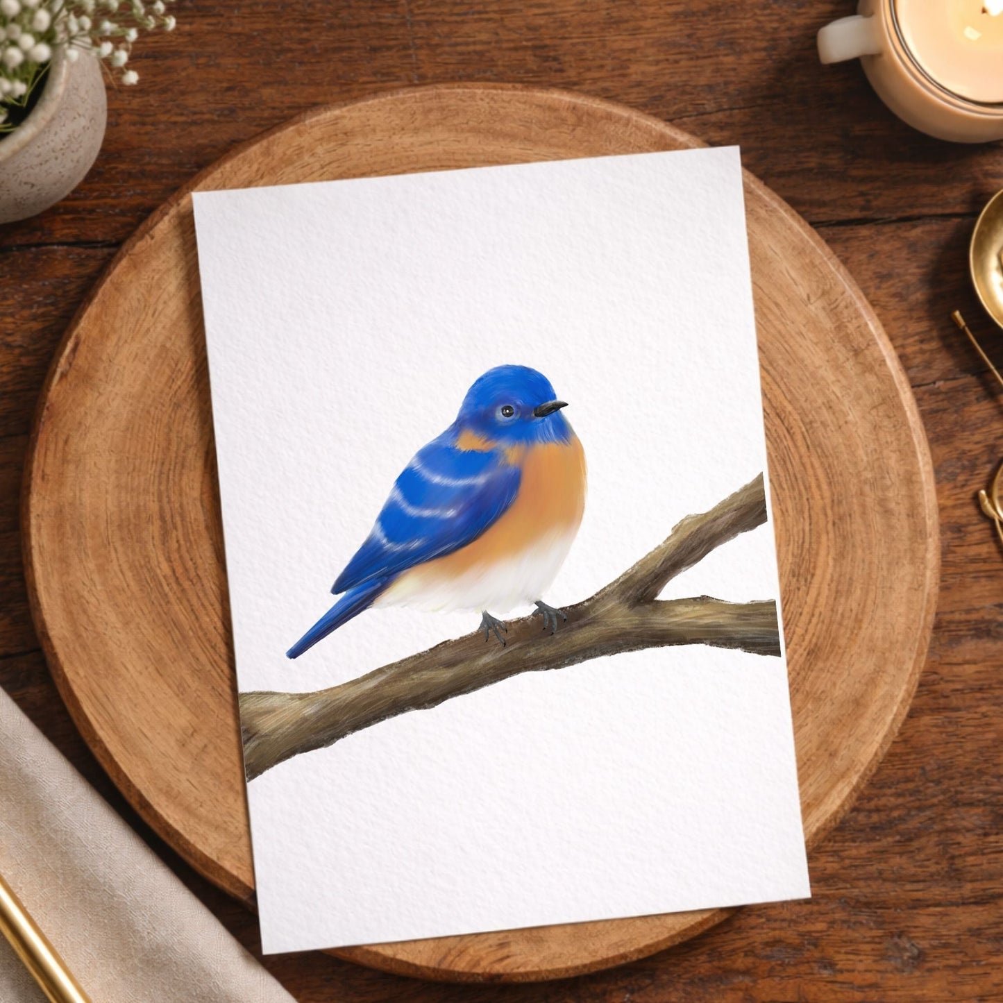 Eastern Bluebird Postcard - MerikaArt