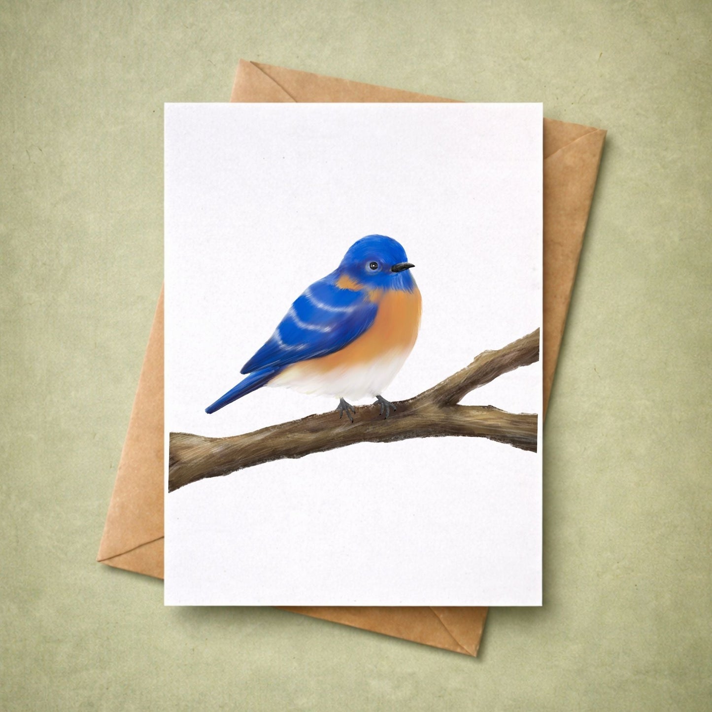 Eastern Bluebird Postcard - MerikaArt