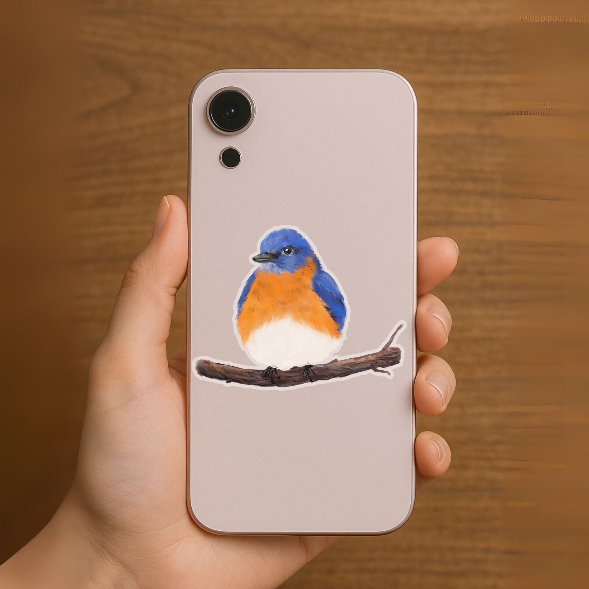 Eastern Bluebird Sticker - MerikaArt