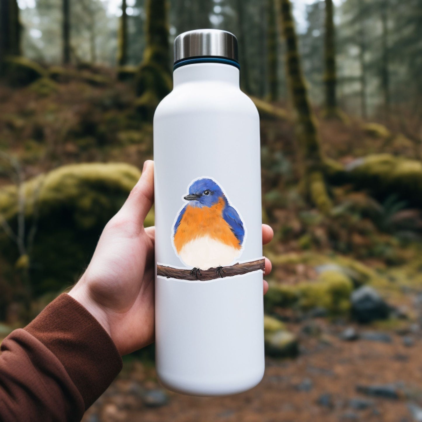 Eastern Bluebird Sticker - MerikaArt