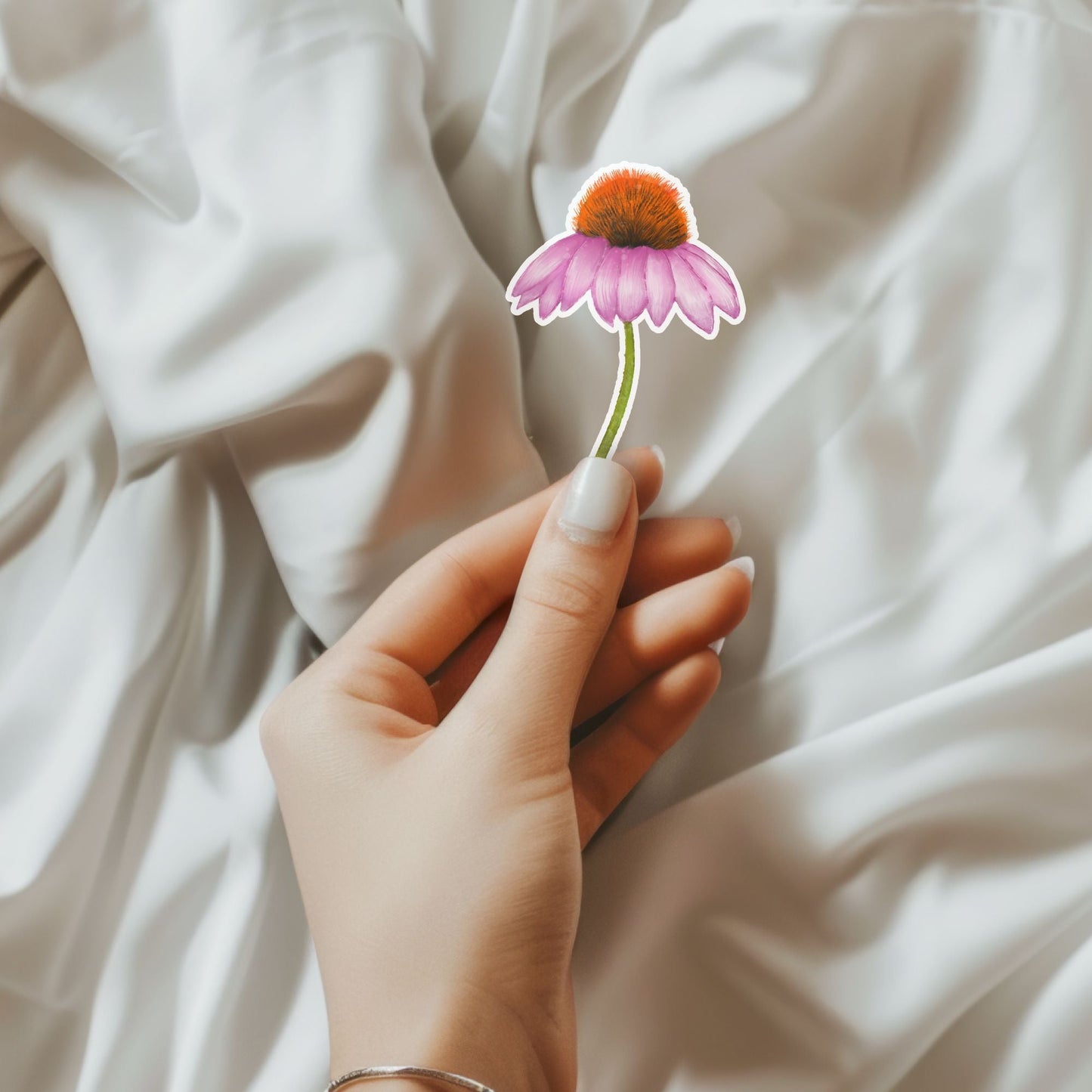 Echinacea Flower Vinyl Sticker - MerikaArt