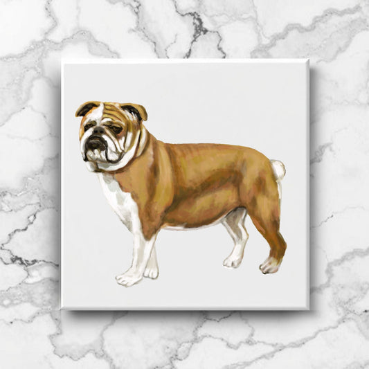English Bulldog Ceramic Tile - MerikaArt