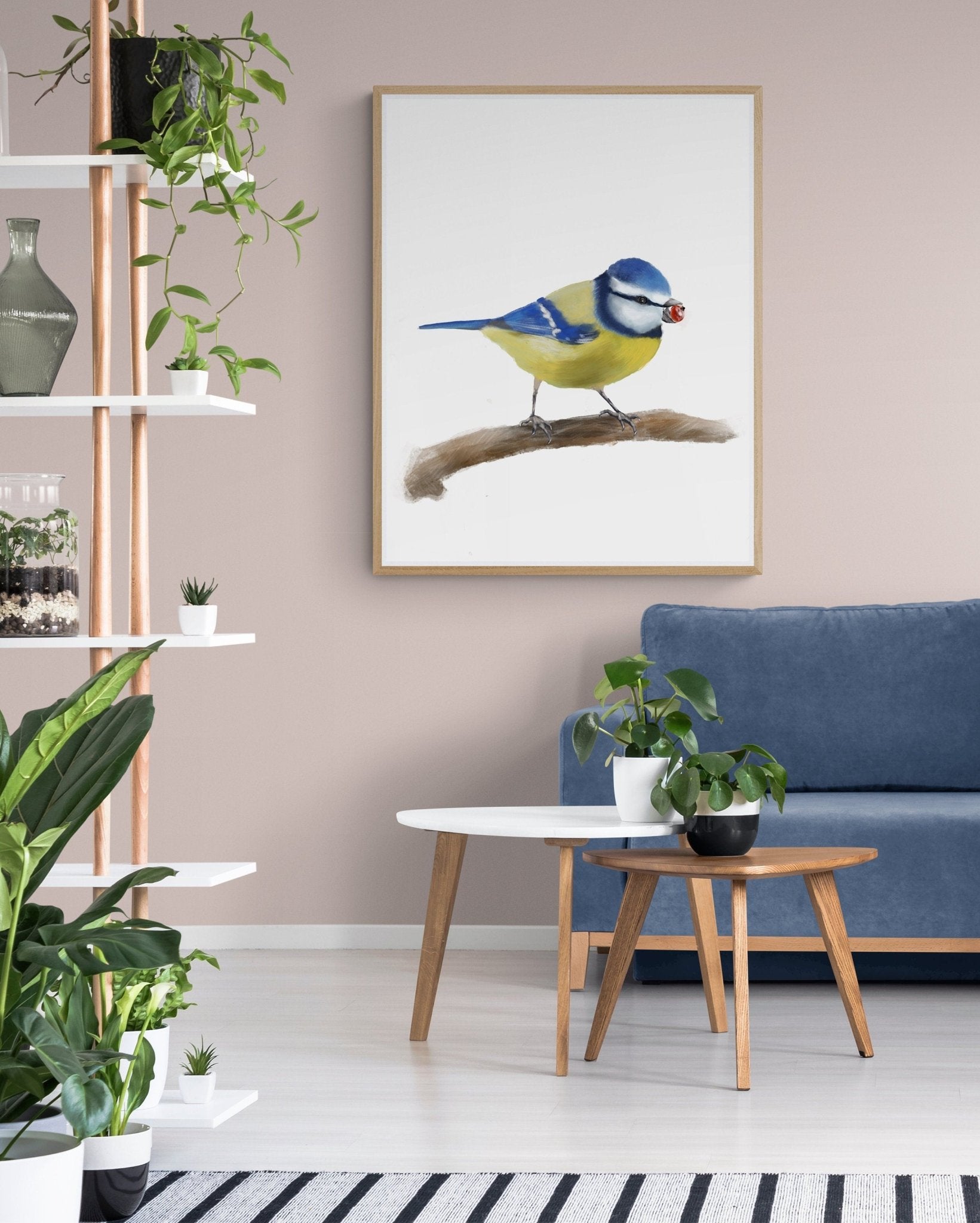 Eurasian Blue Tit Bird Print - MerikaArt