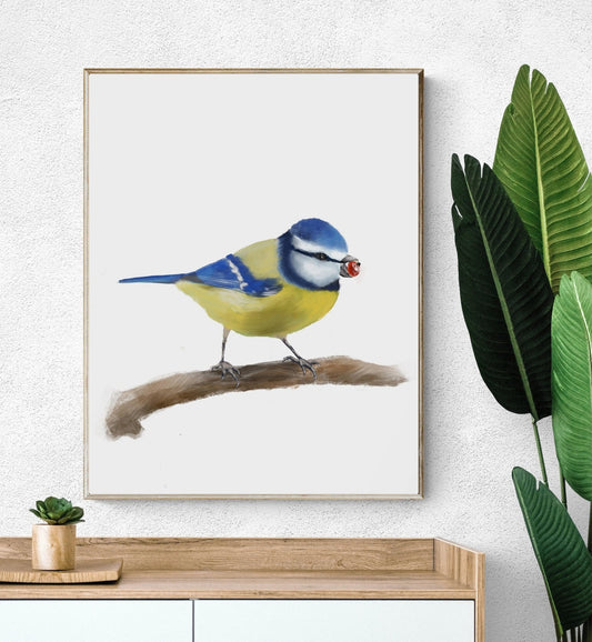 Eurasian Blue Tit Bird Print - MerikaArt