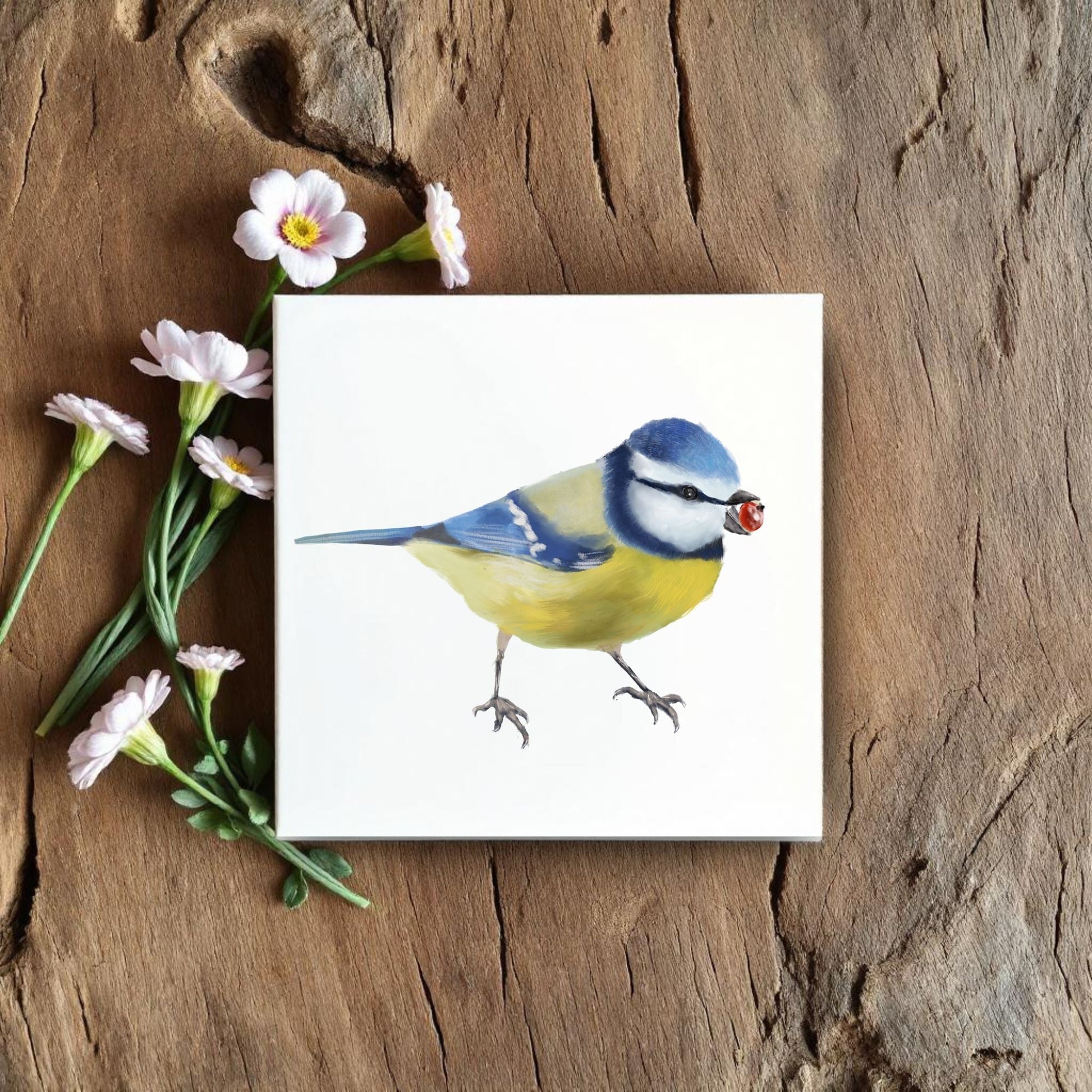 Eurasian Blue Tit with Berry Ceramic Tile – Handcrafted Bird Artwork - MerikaArt