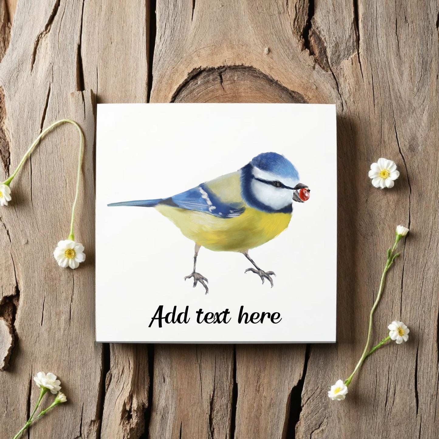 Eurasian Blue Tit with Berry Ceramic Tile – Handcrafted Bird Artwork - MerikaArt