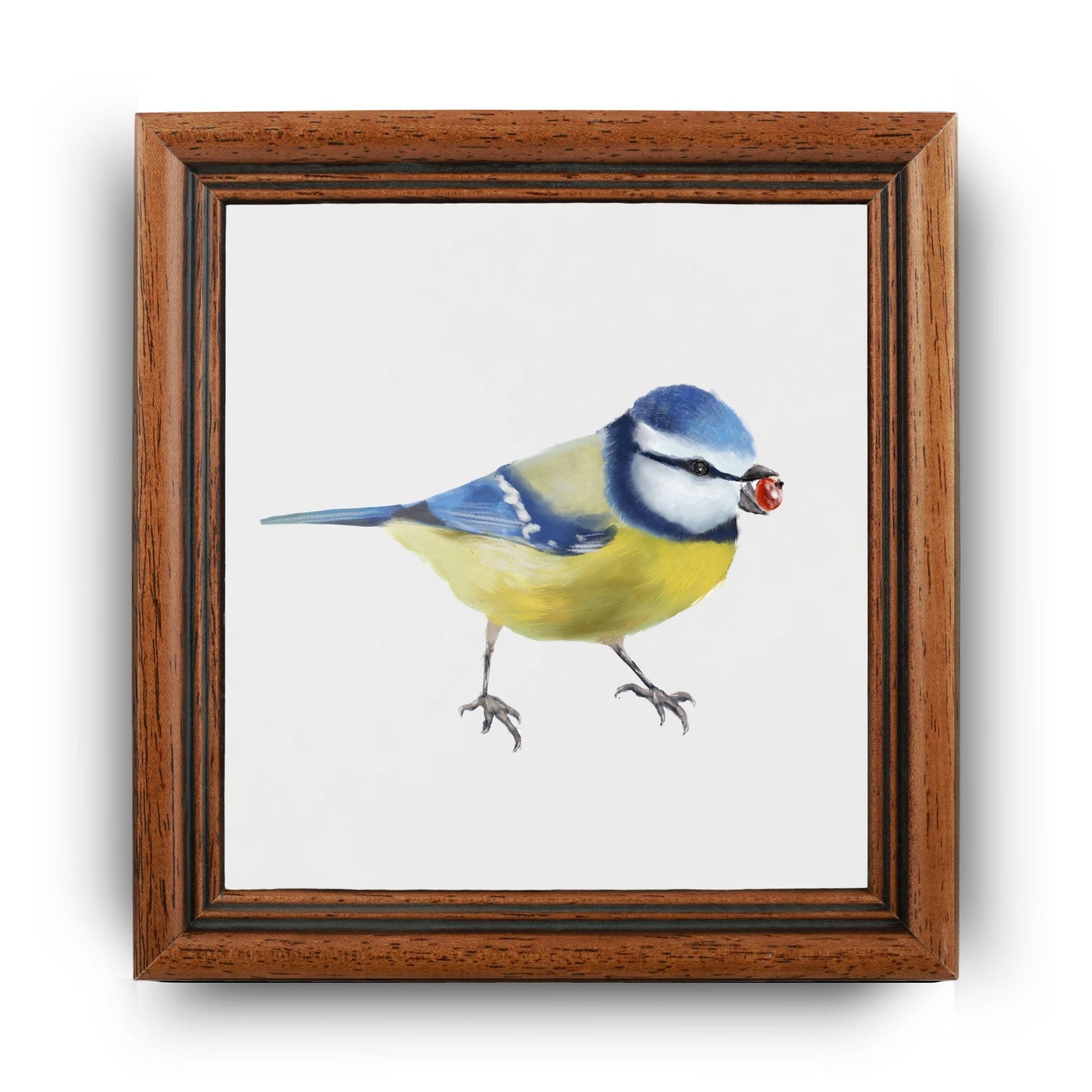 Eurasian Blue Tit with Berry Ceramic Tile – Handcrafted Bird Artwork - MerikaArt