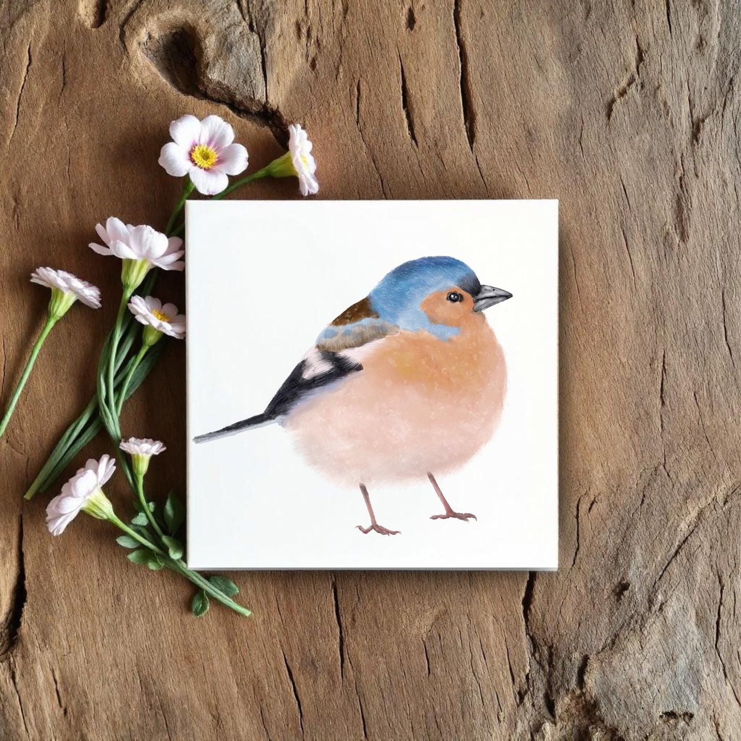 Eurasian Chaffinch Ceramic Tile – Handcrafted Bird Artwork - MerikaArt