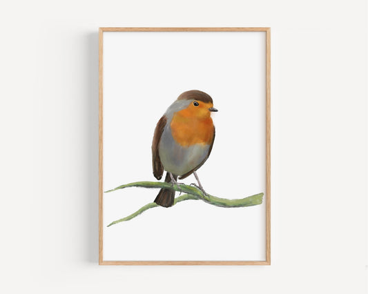 European Robin Art Print – Charming and Elegant Bird Decor - MerikaArt