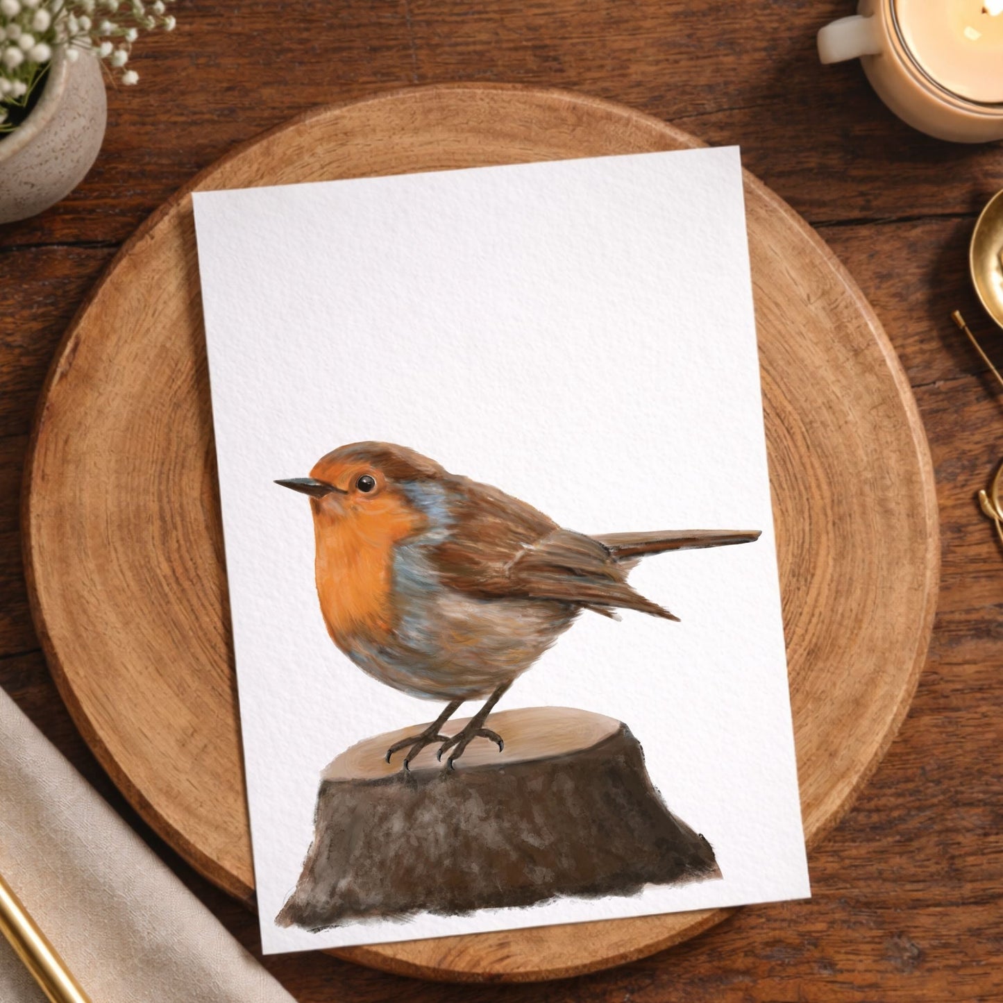 European Robin Postcard - MerikaArt