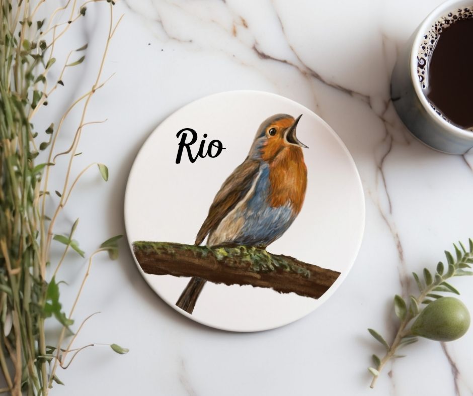 European Robin Singing on Branch Ceramic Coaster - MerikaArt
