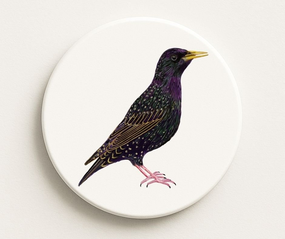 European Starling Ceramic Coaster - MerikaArt