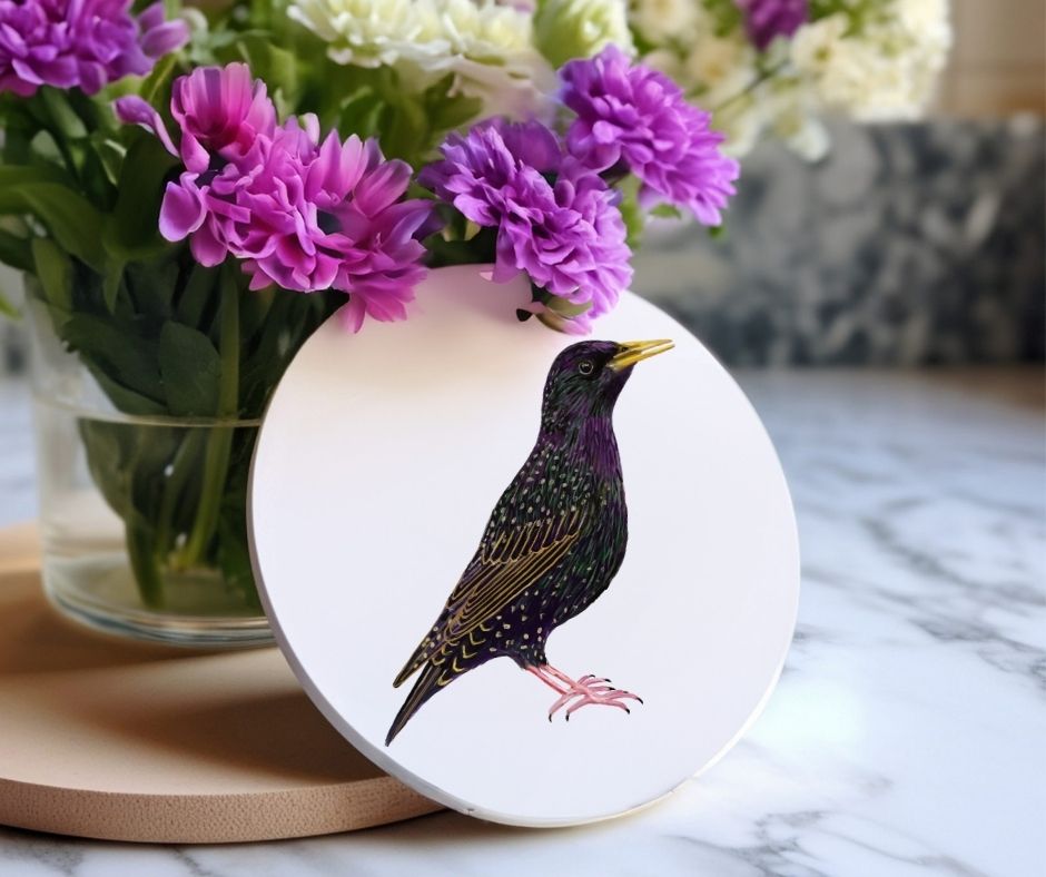 European Starling Ceramic Coaster - MerikaArt