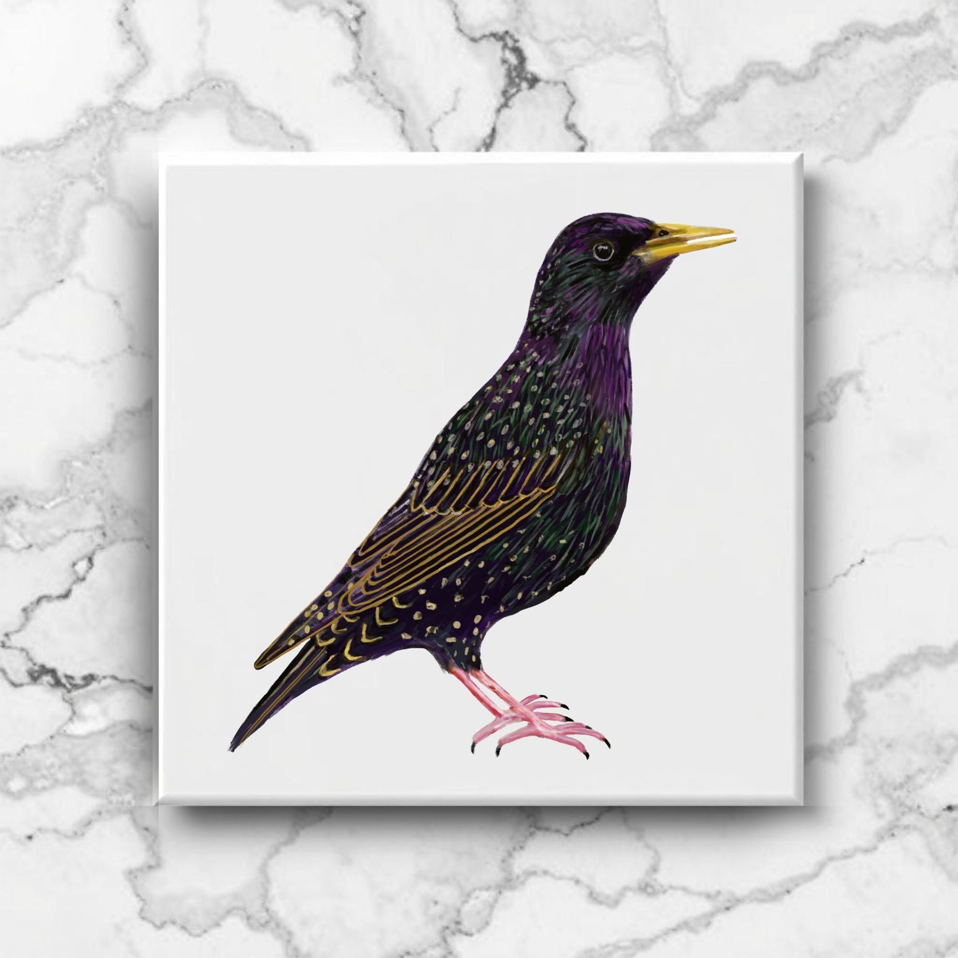 European Starling Ceramic Tile - MerikaArt