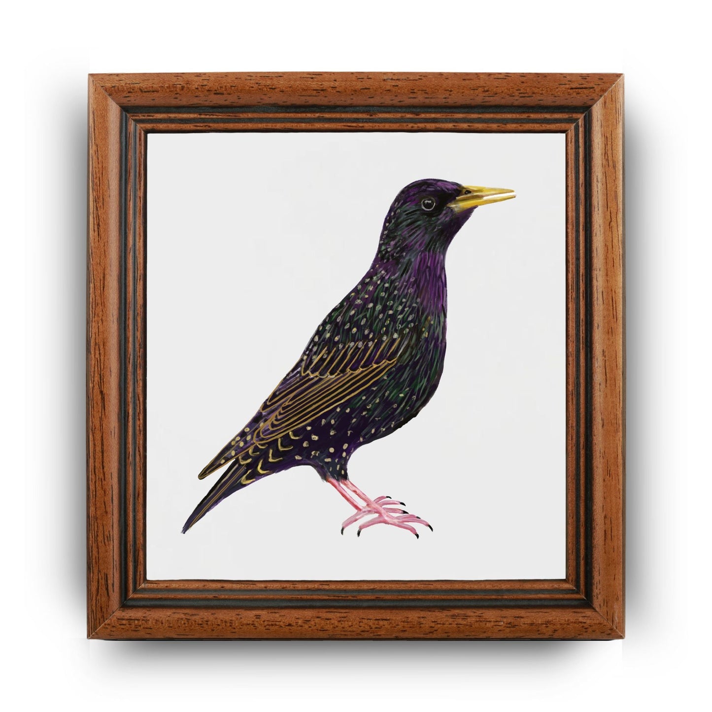 European Starling Ceramic Tile - MerikaArt