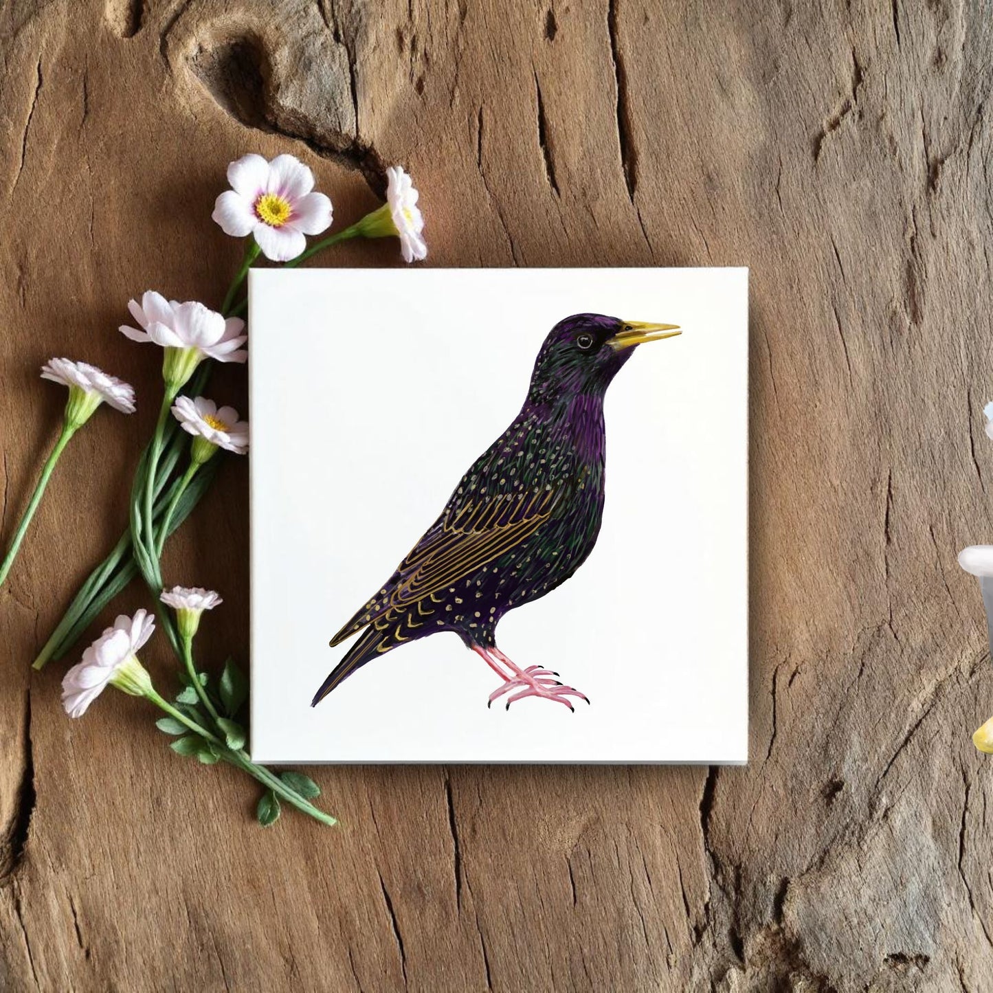 European Starling Ceramic Tile - MerikaArt