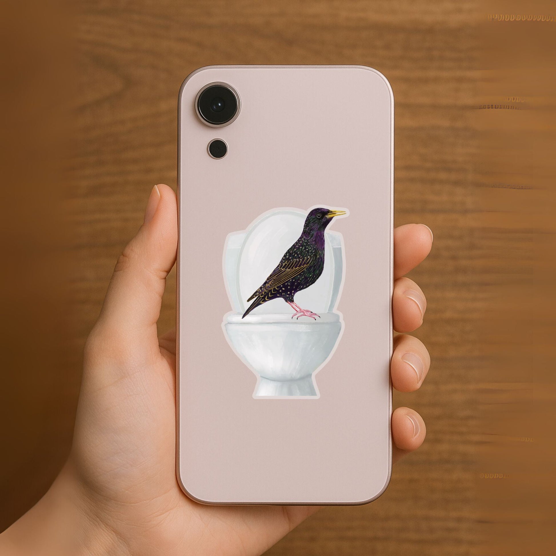 European Starling on Toilet Sticker - MerikaArt