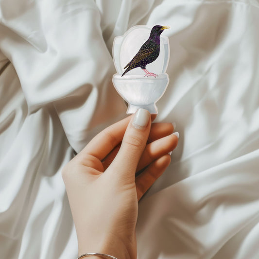 European Starling on Toilet Sticker - MerikaArt