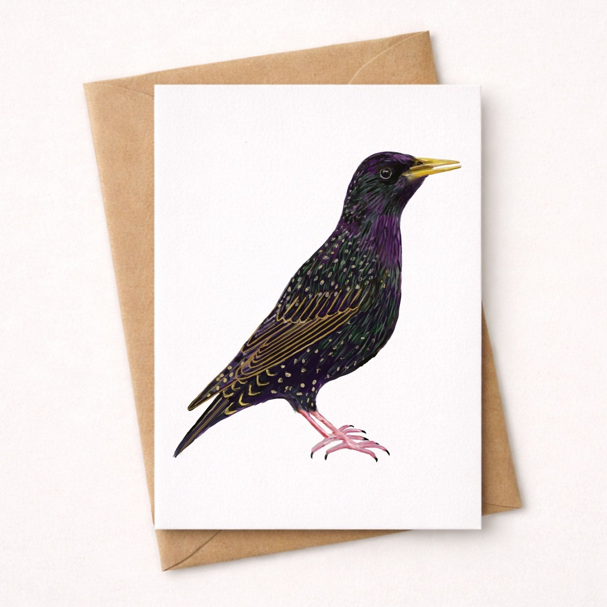 European Starling Postcard - MerikaArt