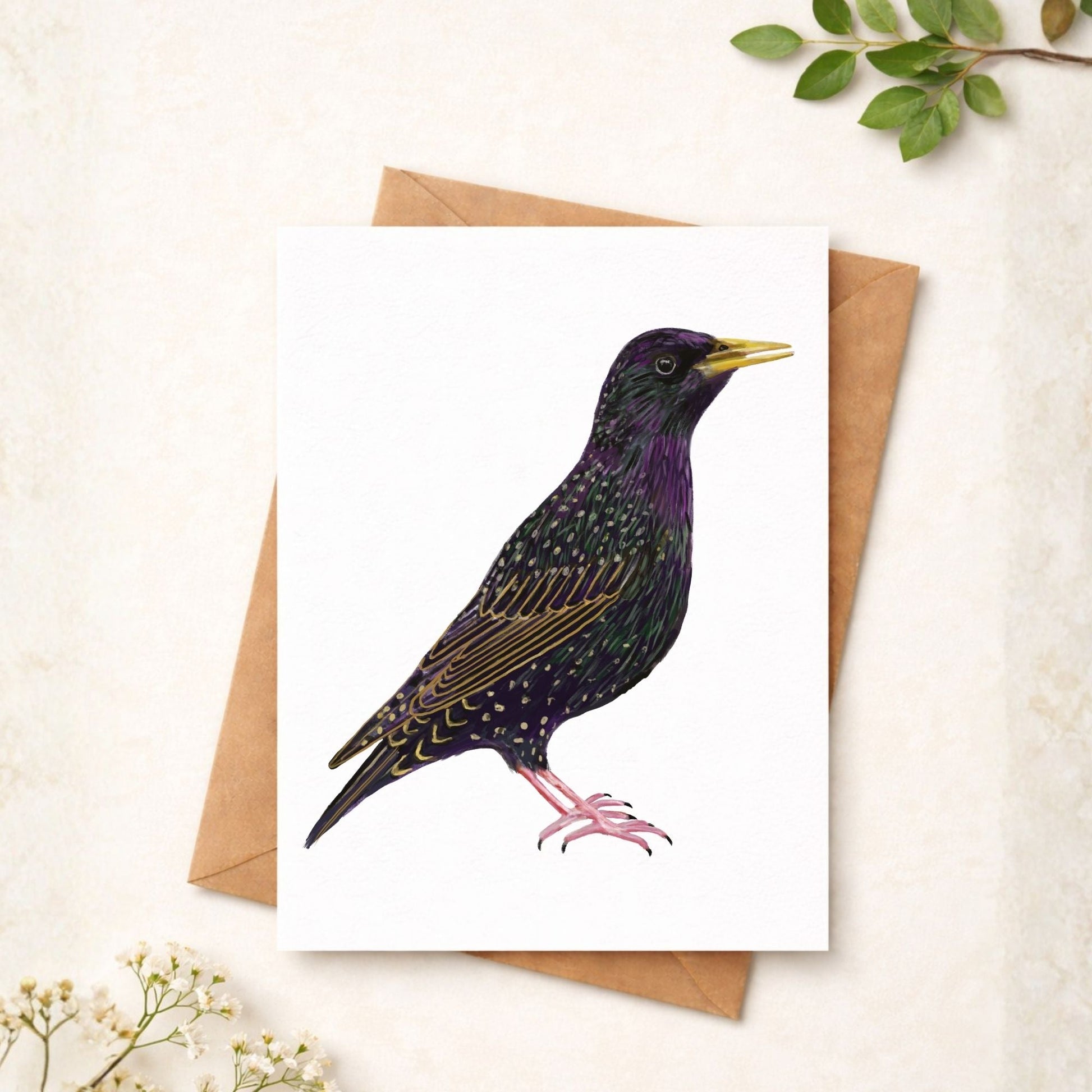 European Starling Postcard - MerikaArt