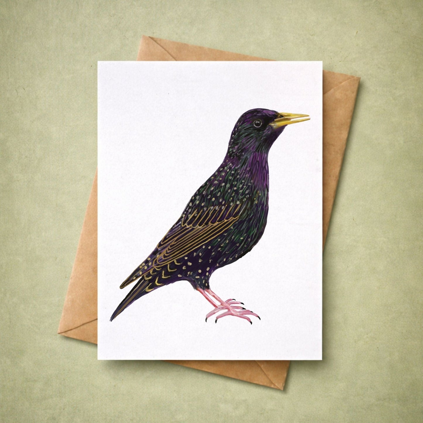 European Starling Postcard - MerikaArt