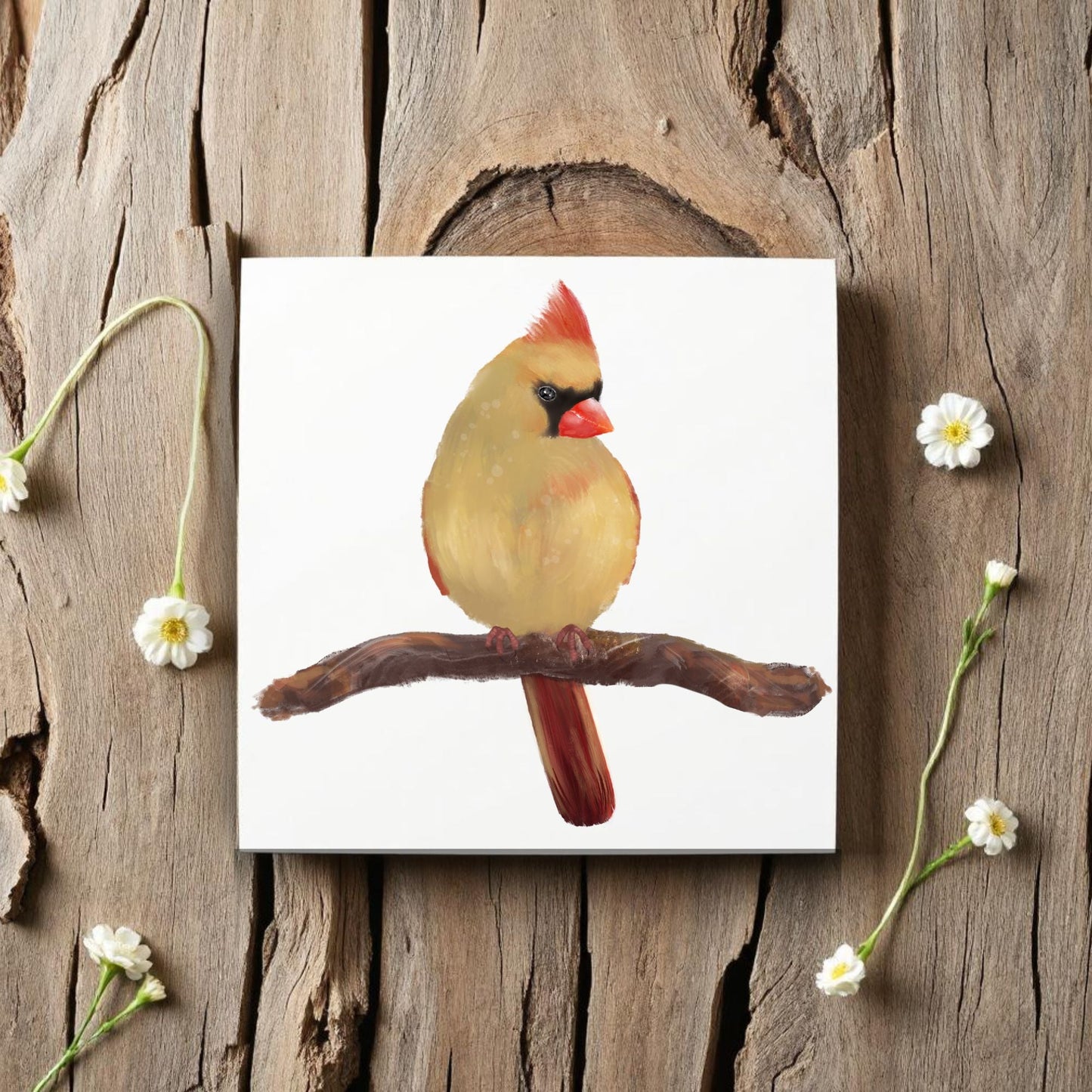 Female Northern Cardinal Ceramic Tile - MerikaArt