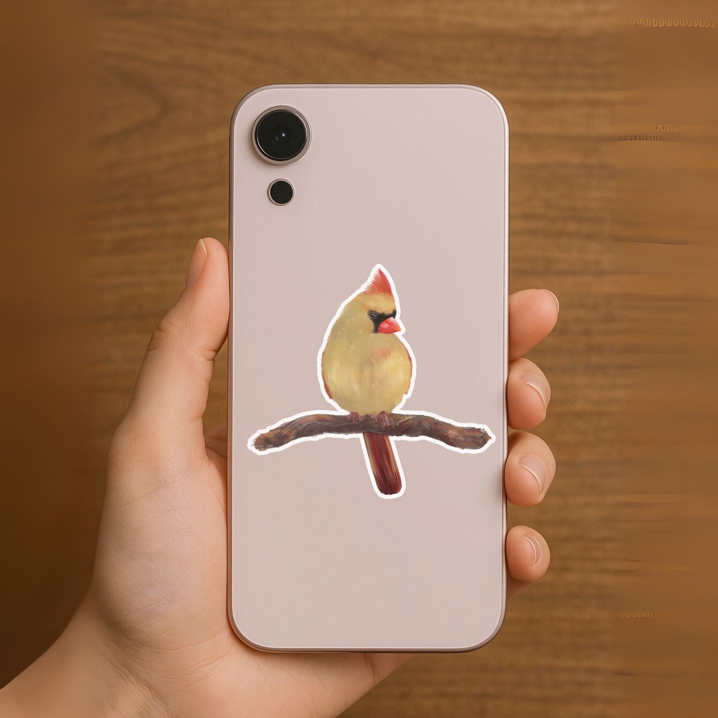 Female Northern Cardinal Sticker - MerikaArt