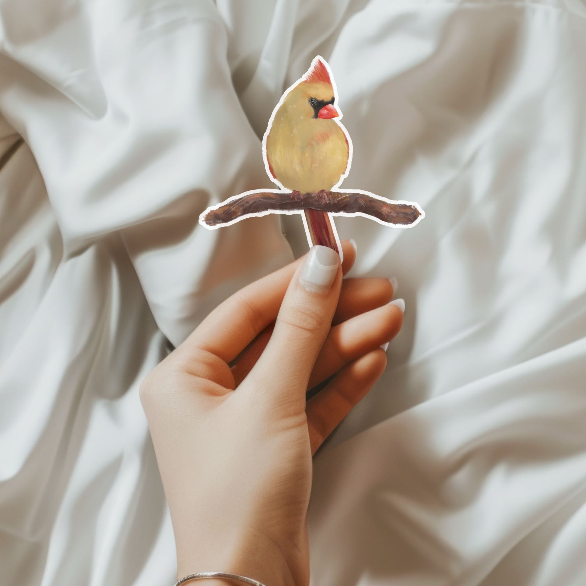 Female Northern Cardinal Sticker - MerikaArt