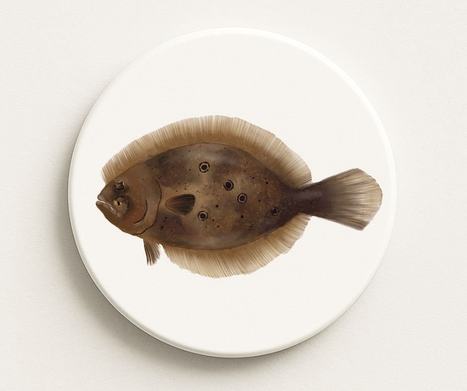 Flounder Fish Ceramic Coaster - MerikaArt