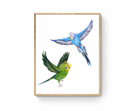 Flying Blue and Green Parakeet, Flying Budgies, Bird Memorial, Tropical Bird Art, Bird Lover Gift, Bird Wall Artwork, Bird Illustration - MerikaArt