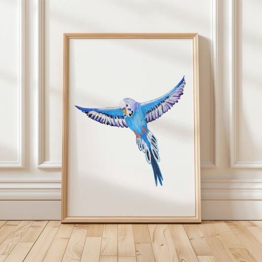 Flying Blue Budgie Art Print – Vibrant Bird Decor for Budgie Lovers - MerikaArt