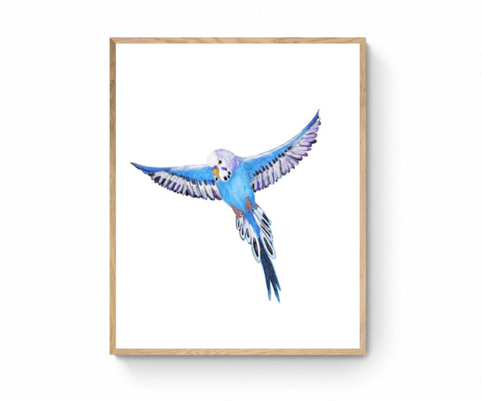 Flying Blue Parakeet, Blue Budgie Flying, Blue Bird Memorial, Tropical Bird Art, Bird Lover Gift, Bird Wall Artwork, Bird Illustration - MerikaArt