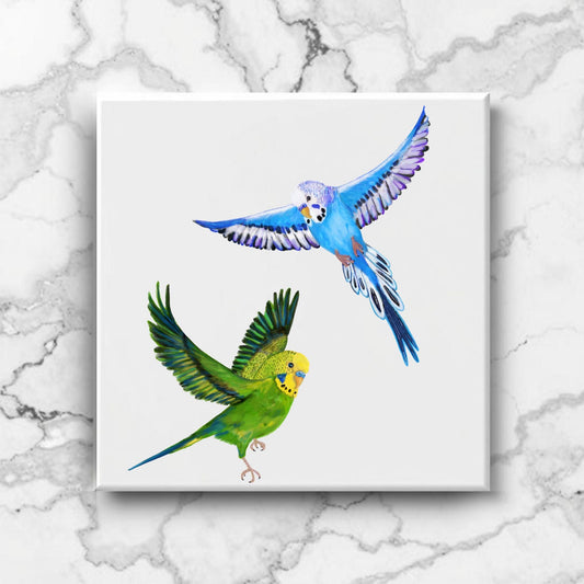 Flying Budgerigars Ceramic Tile - MerikaArt