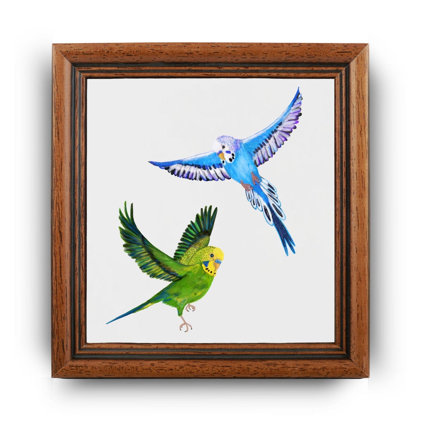 Flying Budgerigars Ceramic Tile - MerikaArt