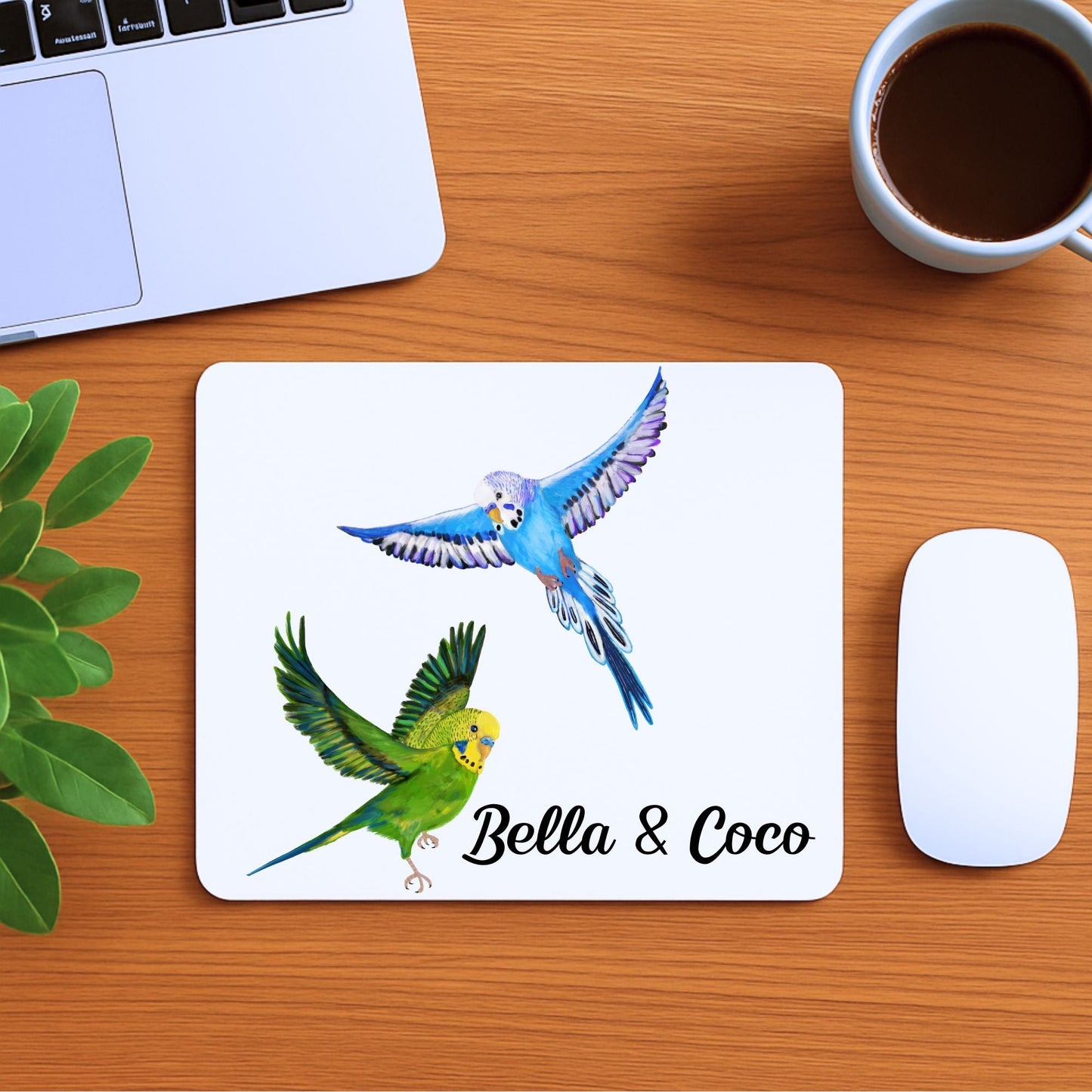 Flying Budgerigars Mousepad - MerikaArt