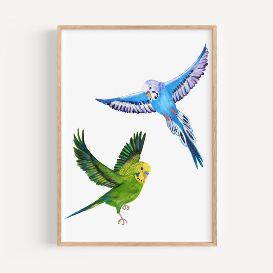 Flying Budgies Art Print – Colorful Blue and Green Parakeet Decor - MerikaArt