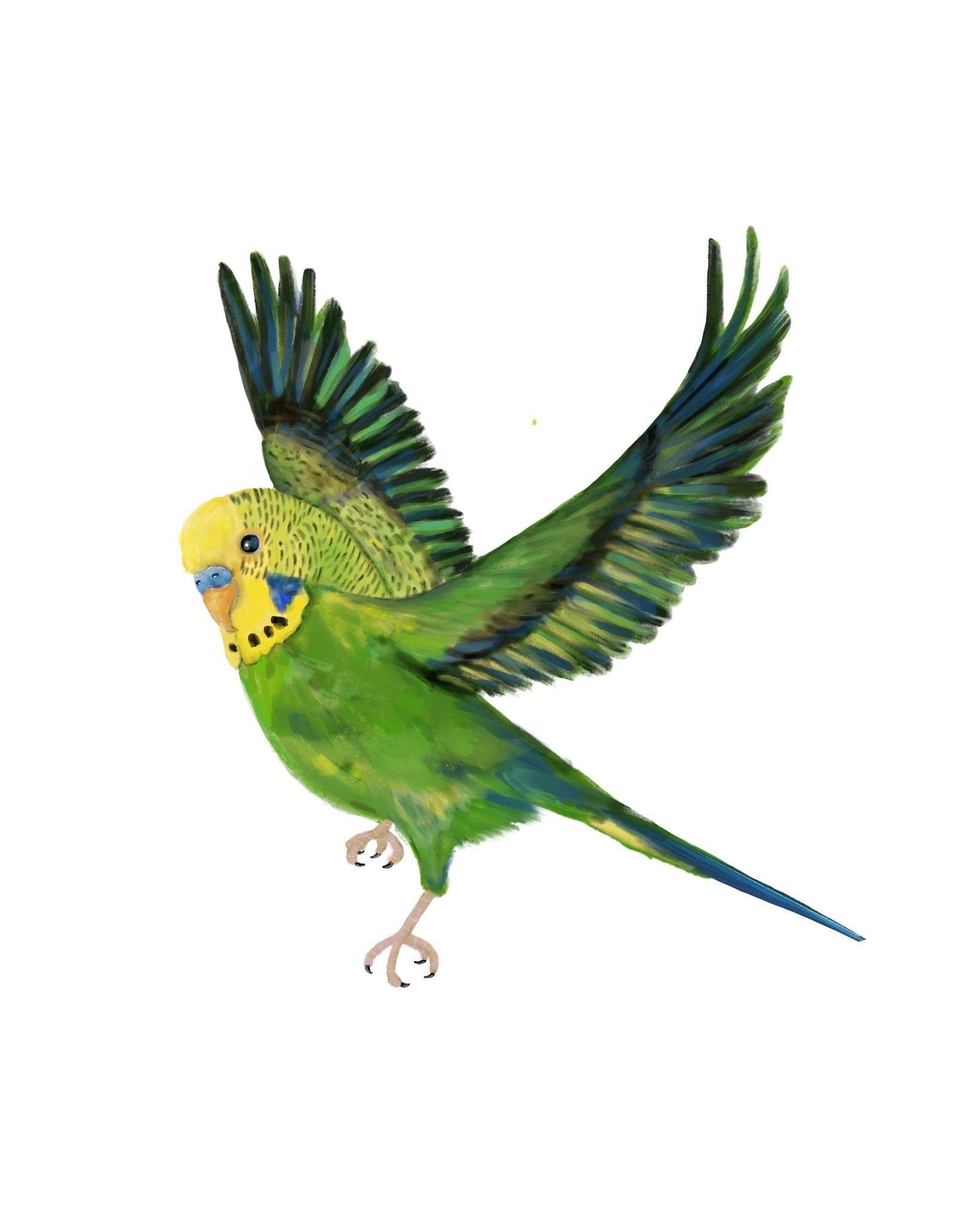 Flying Green Parakeet, Green Budgie Flying, Green Bird Memorial, Tropical Bird Art, Bird Lover Gift, Bird Wall Artwork - MerikaArt