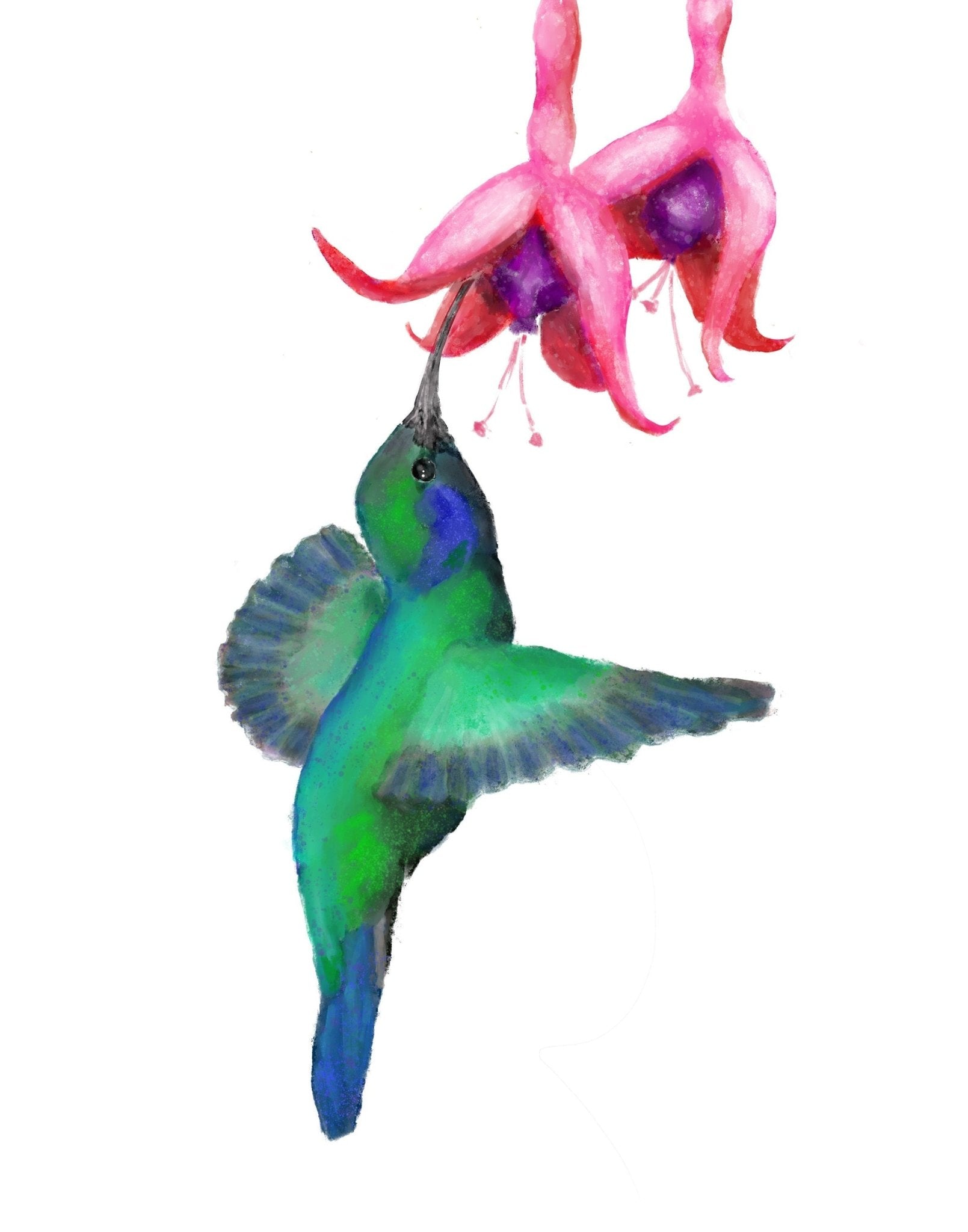 Flying Hummingbird Art Print - MerikaArt