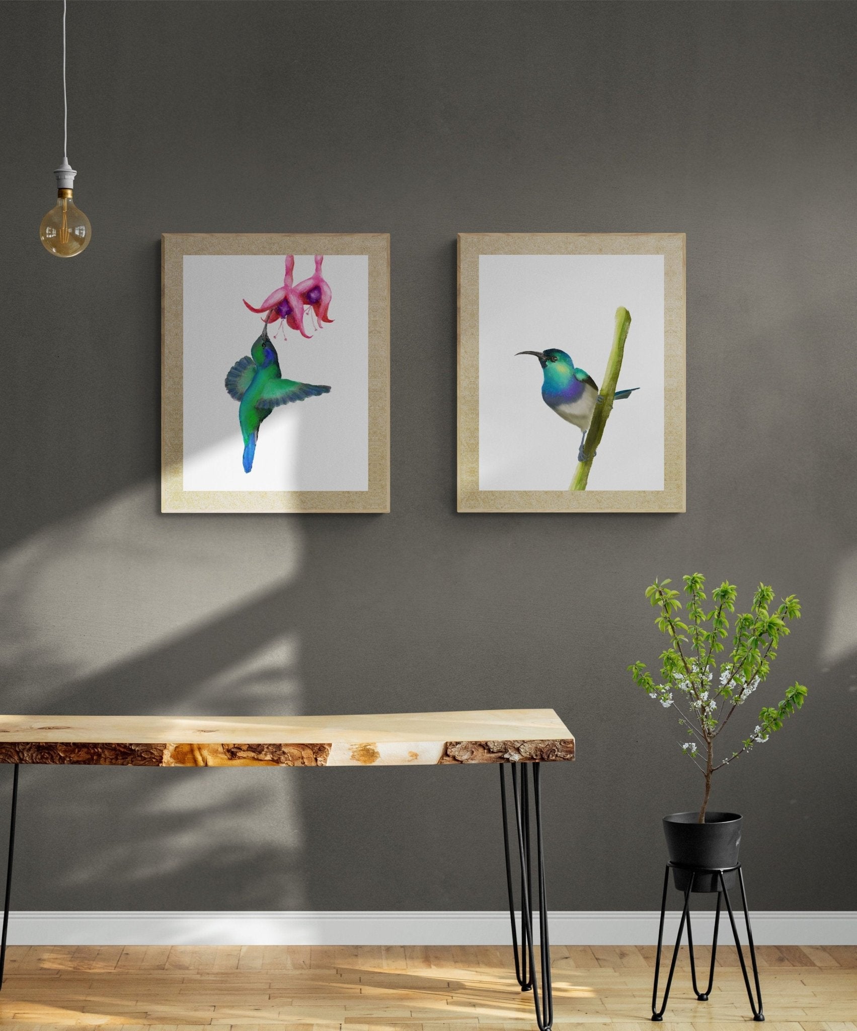 Flying Hummingbird Art Print - MerikaArt