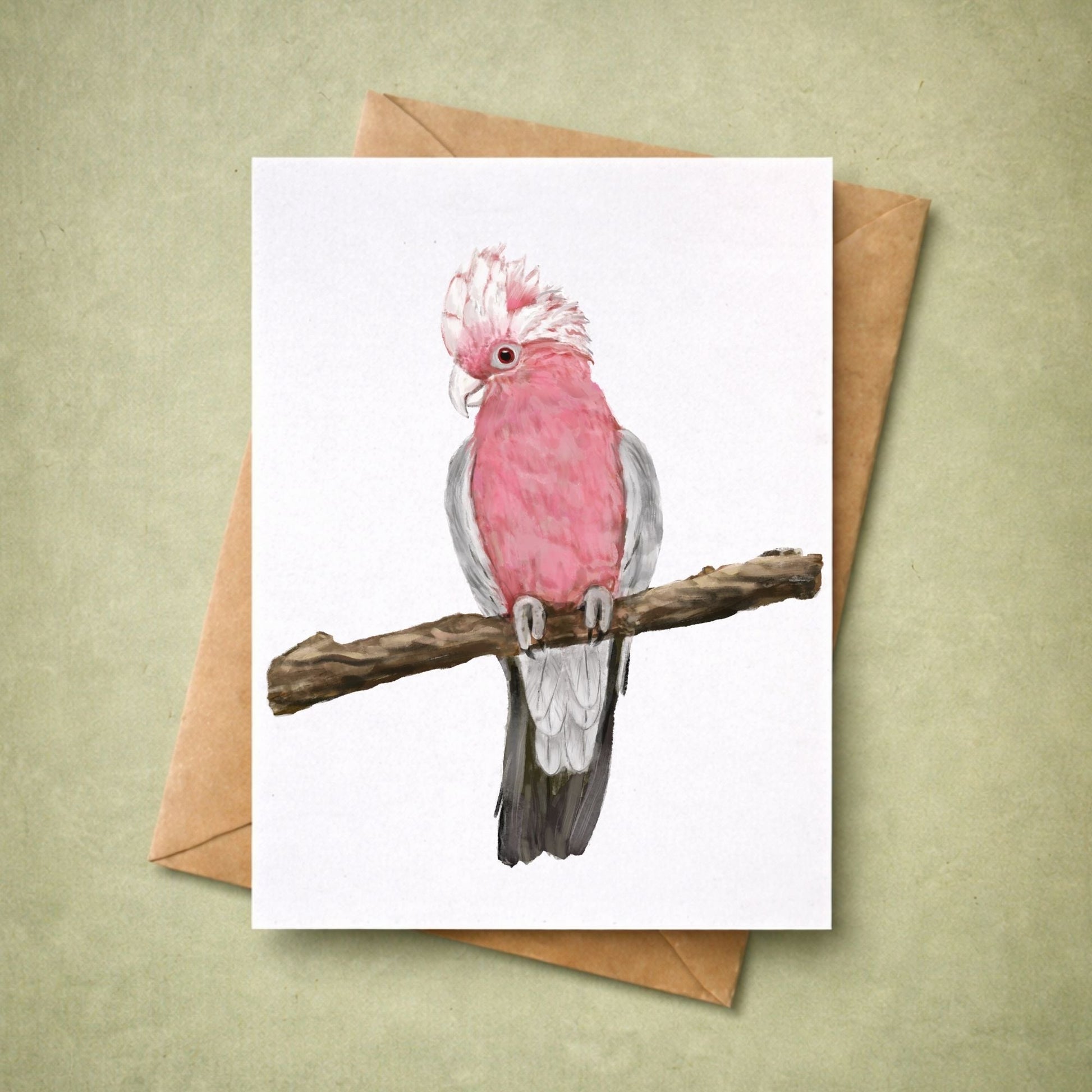 Galah Cockatoo Postcard - MerikaArt