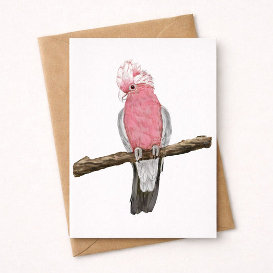 Galah Cockatoo Postcard - MerikaArt
