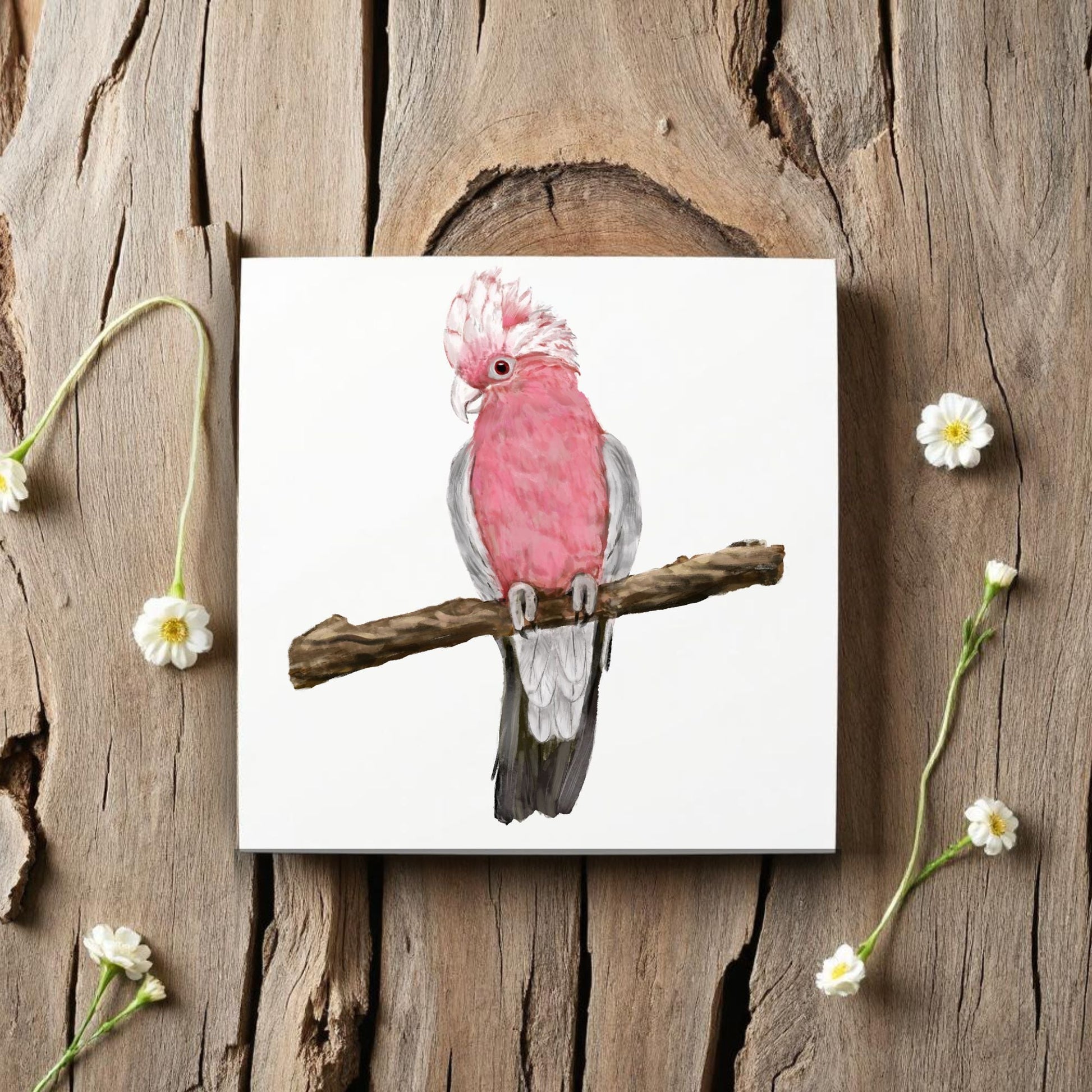 Galah Parrot Ceramic Tile - MerikaArt