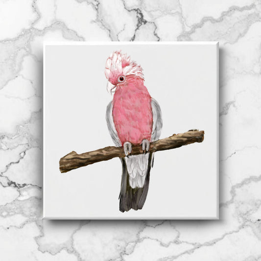 Galah Parrot Ceramic Tile - MerikaArt