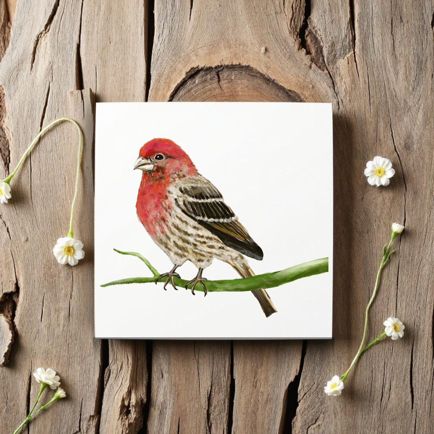 Galah Parrot Ceramic Tile - MerikaArt