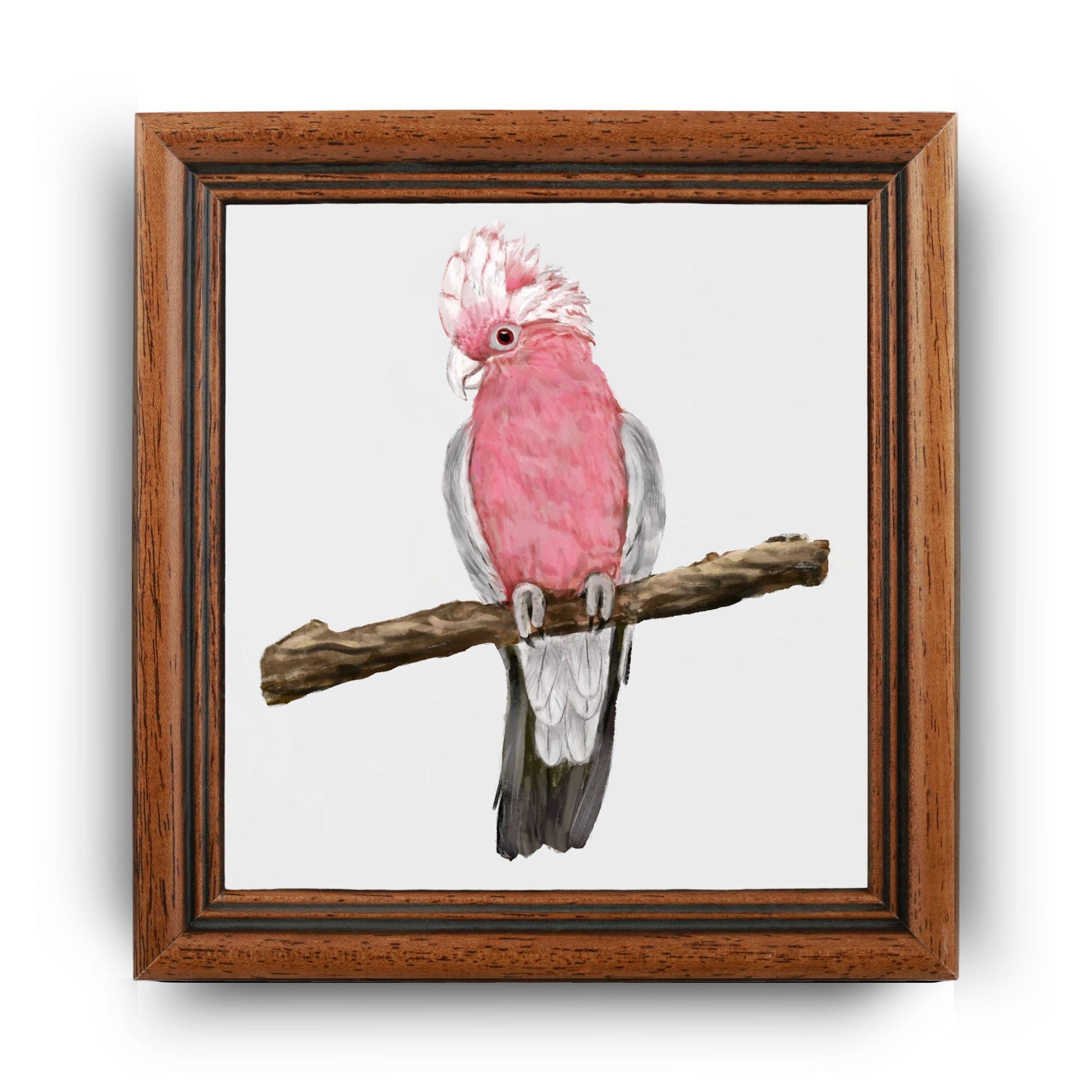 Galah Parrot Ceramic Tile - MerikaArt