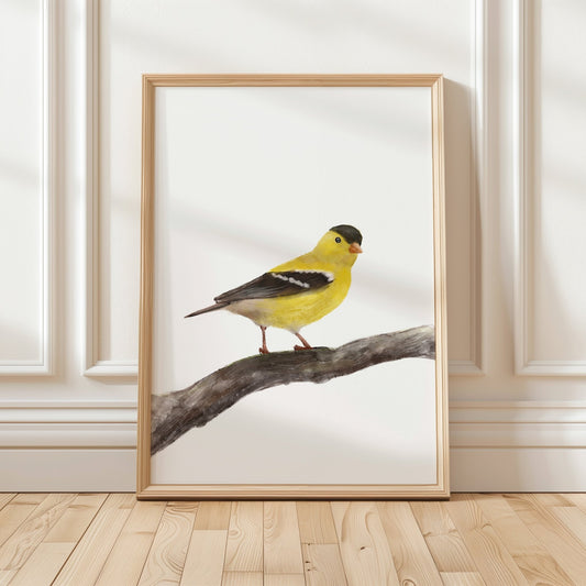 Goldfinch Art Print – Bright and Cheerful Bird Decor - MerikaArt