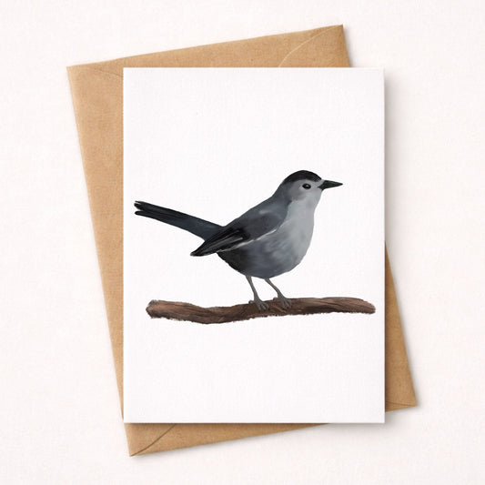 Gray Catbird Postcard - MerikaArt