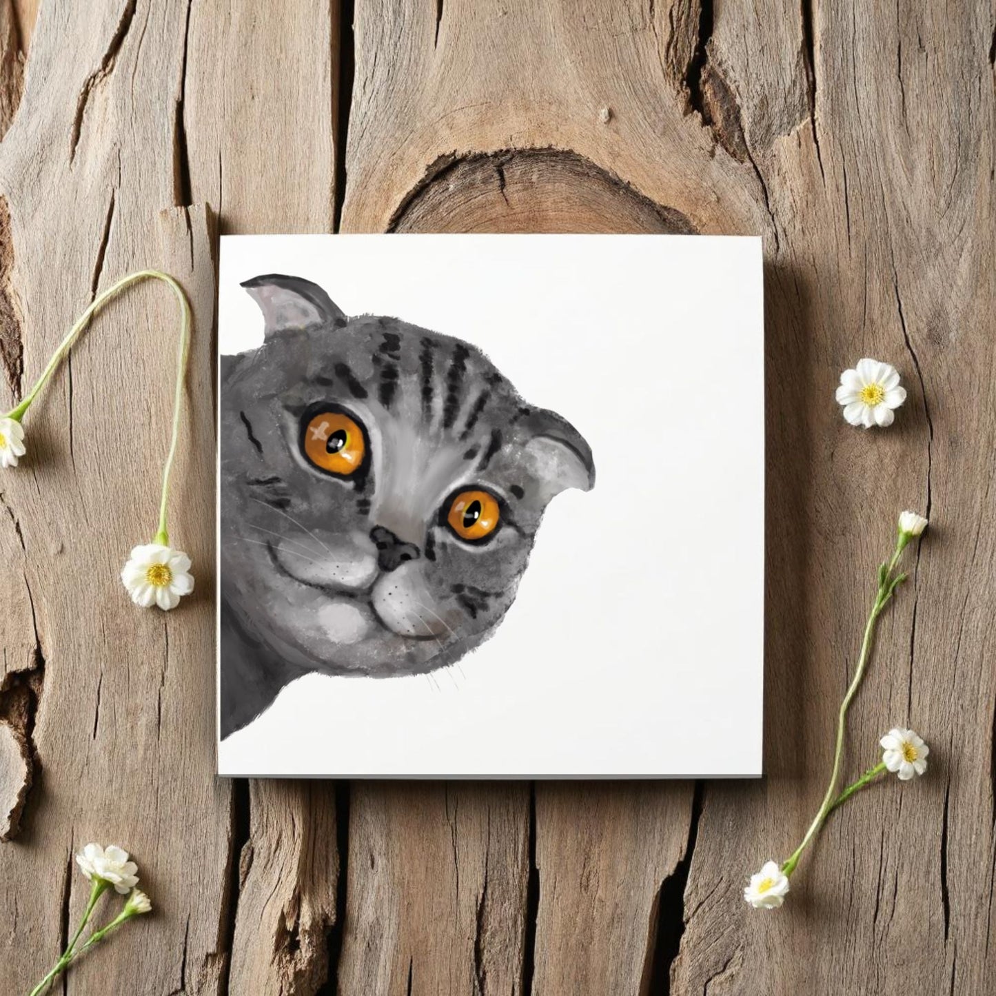 Gray Scottish Fold Cat Ceramic Tile - MerikaArt