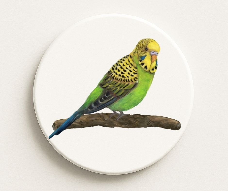 Green and Yellow Budgerigar Ceramic Coaster - MerikaArt